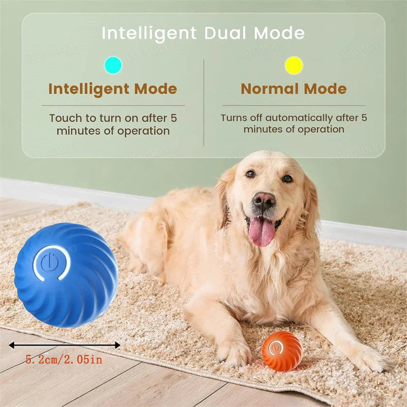 Playful Paws Interactive Ball