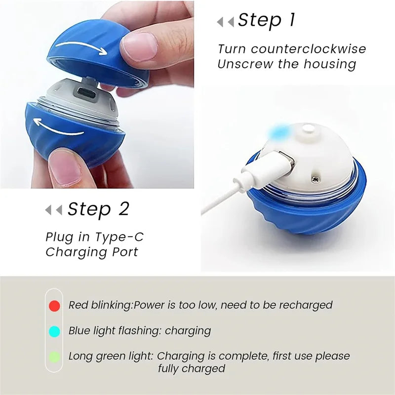 Playful Paws Interactive Ball