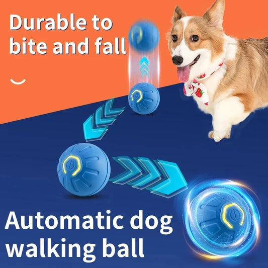 Playful Paws Interactive Ball