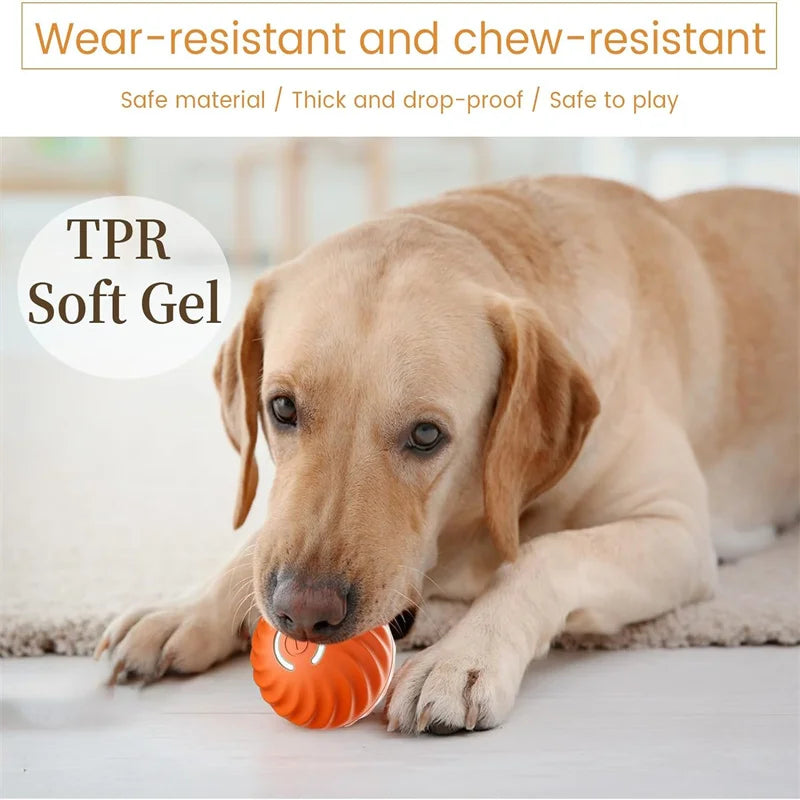 Playful Paws Interactive Ball