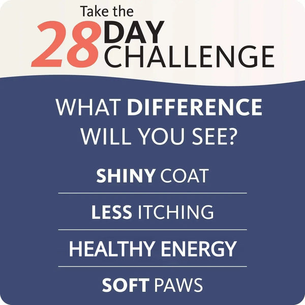 200ml-Salmon-Fish-Oil-for-Pets-21-Omega-Fatty-Acids-Natural-Nutritional-Supplement-for-Dogs-and.jpg