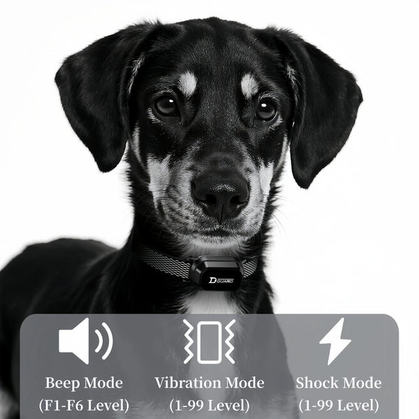 3300FT-Electric-Dog-Training-Collar-Remote-Control-Waterproof-Pet-BehaviorFor-6-120lbs-Puppy-With-Shock-Vibration.jpg