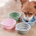 Compact Collapsible Pet Bowl