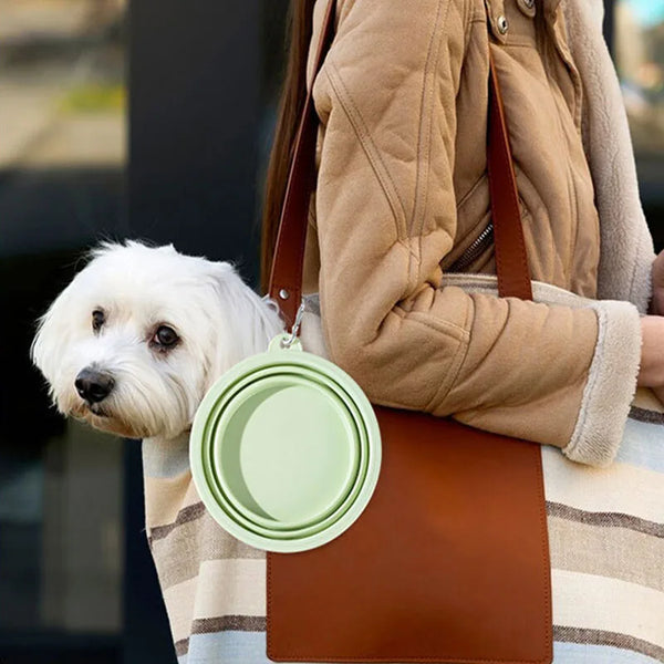 350ML-Folding-Dog-Dish-Collapsible-Pet-Bowl-Water-for-Dog-Drinking-Bowl-Cat-Water-Bowl-Drinking.jpg