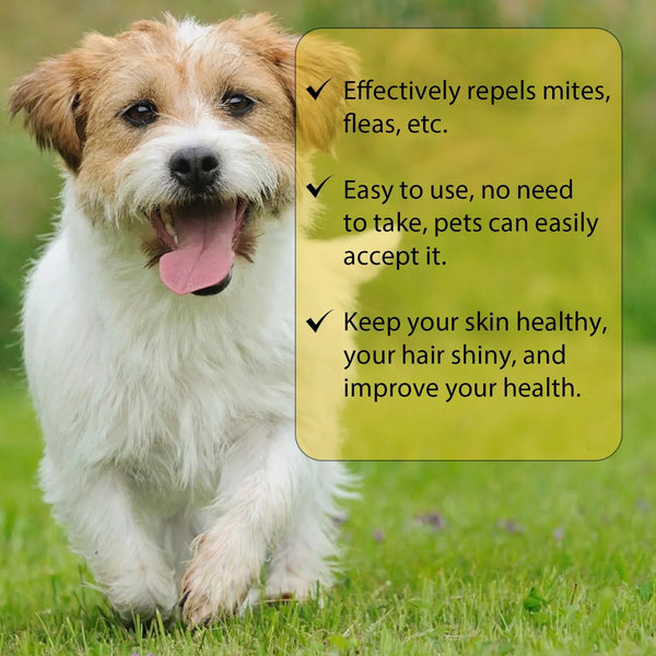 Cat-Anti-Flea-Drops-Flea-Lice-Remove-Relieve-Skin-Itching-External-Insect-Repellent-Deworming-Supplies-Pet.jpg