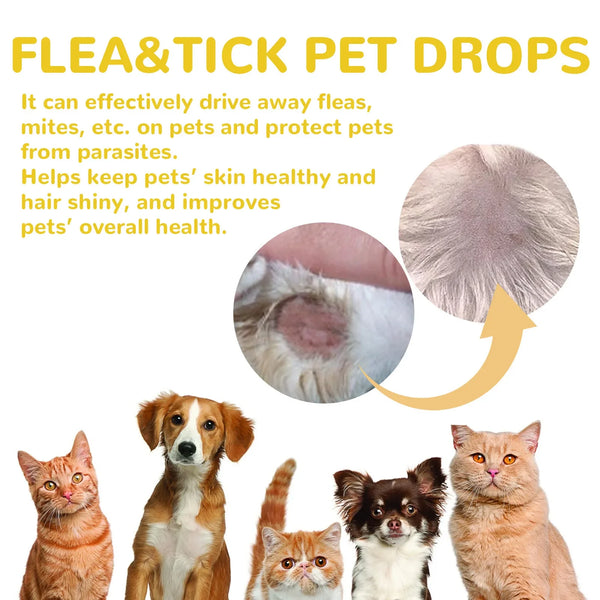Cat-Anti-Flea-Drops-Flea-Lice-Remove-Relieve-Skin-Itching-External-Insect-Repellent-Deworming-Supplies-Pet.jpg