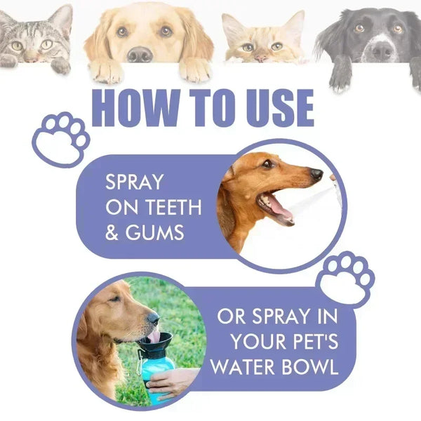 Pet-Teeth-Cleaning-Spray-Oral-Care-Remove-Tooth-Stains-Keep-Fresh-Breath-for-Cats-and-Dogs.jpg