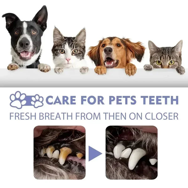 Pet Fresh Breath Spray
