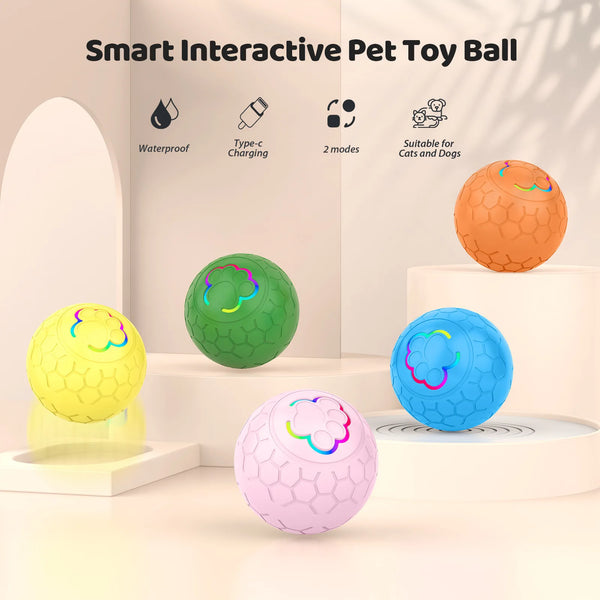Magic Bouncing Pet Ball
