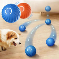 Playful Paws Interactive Ball