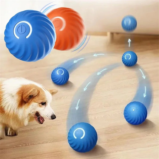 Playful Paws Interactive Ball