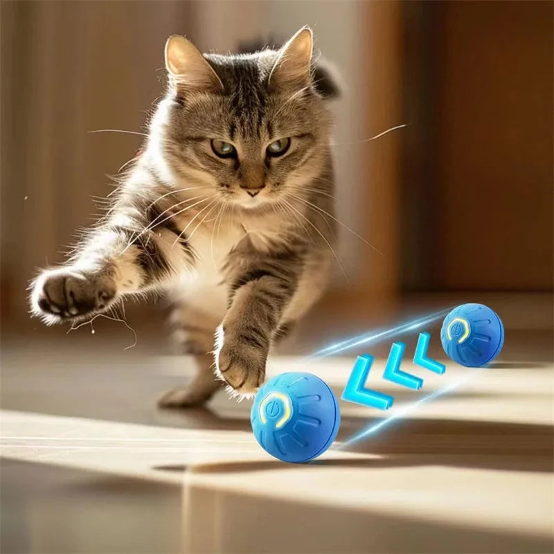 Playful Paws Interactive Ball